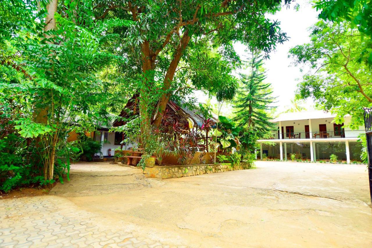 Ariya Rest & Ayurveda Spa Polonnâruvâ Extérieur photo
